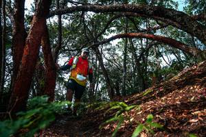 BIB: 
                            <button type="button" onclick="openModal(26346875)" class="btn btn-primary btn-sm float-right btn-popup" data-toggle="modal" data-target=".modal-high-quality">
                        <i class="fas fa-shopping-cart"></i> Add to Cart
                    </button>
                                            <button type="button" onclick="isThisMe(26346875, true)" class="btn btn-success btn-sm float-right btn-popup btn-isme hidden" data-toggle="tooltip" data-placement="bottom" title="นี่คือรูปของคุณใช่ไหม คลิกที่นี่เพื่อเอาเข้าอัลบั้ม">
                        <i class="fas fa-plus"></i> Add to album
                    </button>
                    <button type="button" onclick="isThisMe(26346875, false)" class="btn btn-warning btn-sm float-right btn-popup btn-isnotme hidden">
                        <i class="fas fa-ban"></i> Remove from album
                    </button>